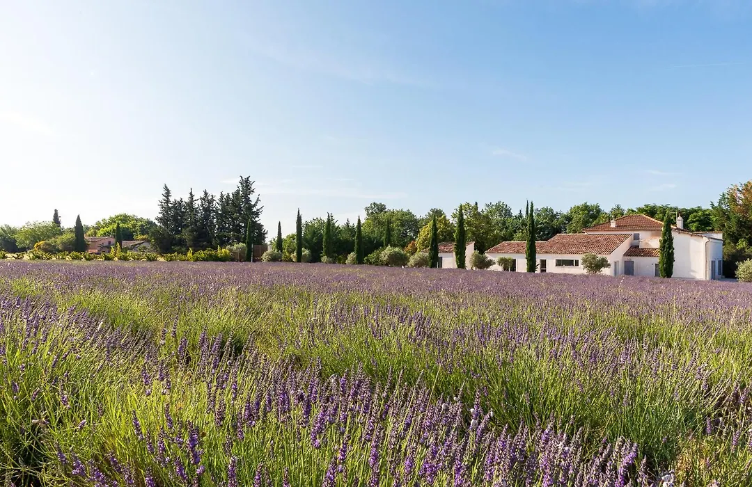 La Bastide De Damien, 5 Clefs Demeure D'Exception Et Table Remarquable Dans Le Guide Teritoria, Jacuzzi Privatif, Cuisine Etoilee Dominique Frerard-1